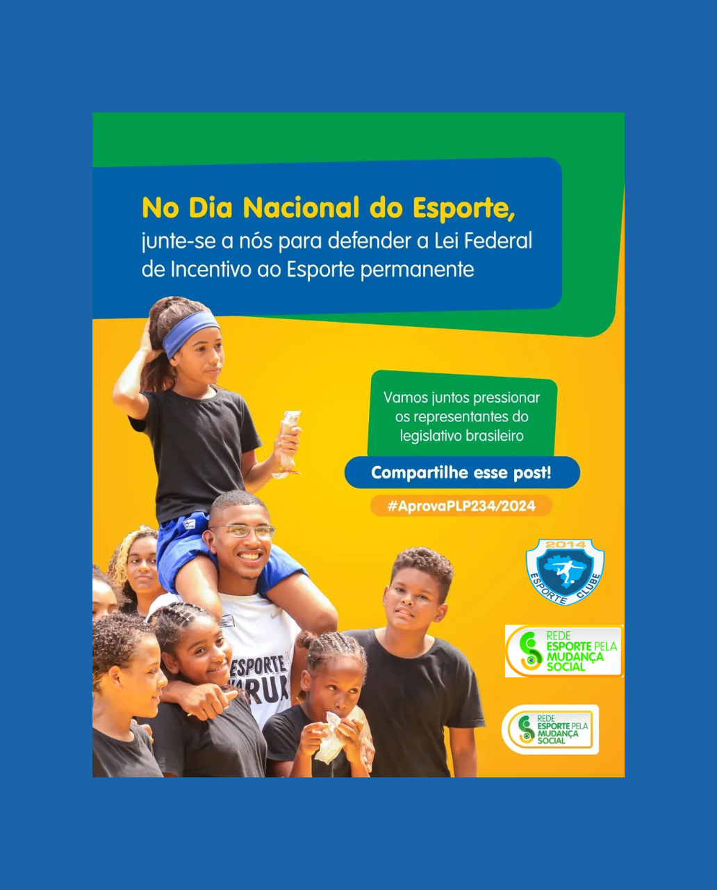  A REMS e o Esporte Clube 2014 defendem a perenidade da Lei Federal de Incentivo ao Esporte (LIE)!